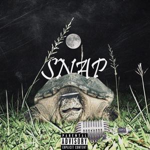 Snap (feat. Baba1k) (Explicit)