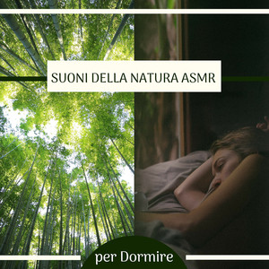 Suoni della Natura ASMR - Temporale, Mare, Bosco per Dormire