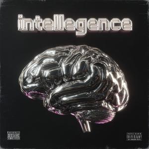 Intelligence