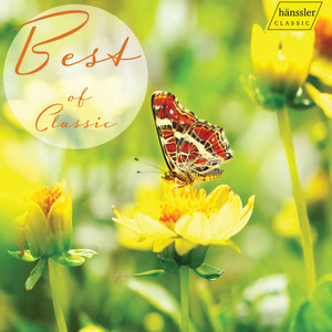 Concerto No. E Major, RV. 269 Frühling - Spring - Concerto No. E Major, RV. 269 Frühling - Spring: Allegro