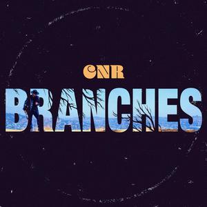 Branches