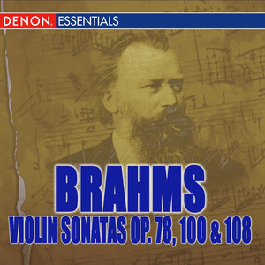 Violin Sonata No. 3, Op. 108 - IV. Presto agitato