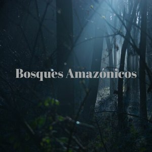 Bosques Amazonicos