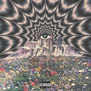 Fine wit me (Explicit)