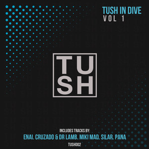 T U S H in DIVE, Vol. 1