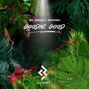 Goodie Good (Explicit)