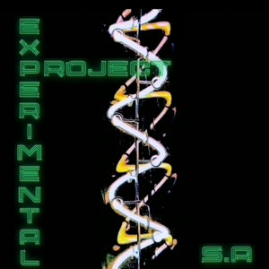 Experimental Project
