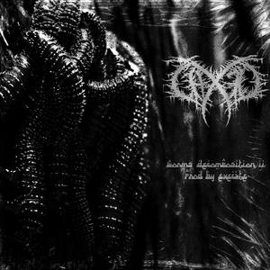 Worms Decomposition II (Explicit)