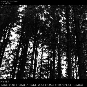 Take You Home / Take You Home (Prospekt Remix)