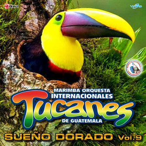 Sueño Dorado Vol. 9. Música de Guatemala para los Latinos