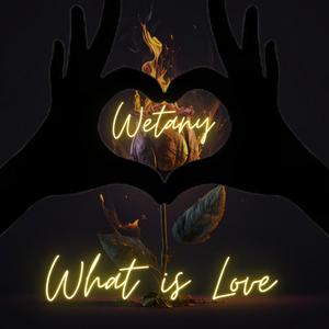 What is Love (Explicit)