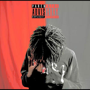 IX (feat. LEE!, ZAYA, ProdbyBotz & Prod: ICKY) (Explicit)