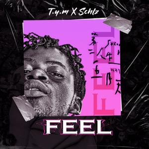 T.Y.M - FEEL (feat. Schlz)