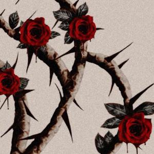 Feel the same (Explicit)