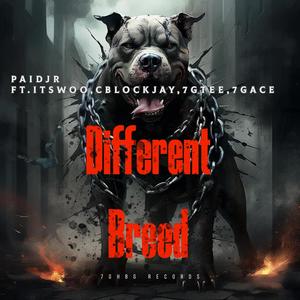 Paid Jr X Different Breed (feat. ItsWoo, CBlock Jay, 7G Tee & 7G Ace) [Official Audio] [Explicit]