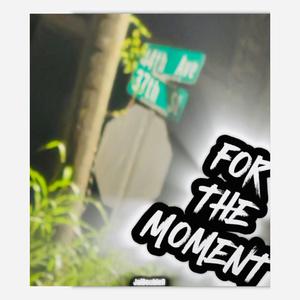 For The Moment (Explicit)
