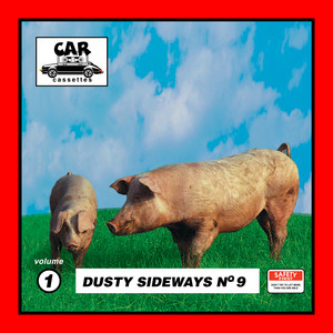 Carcassettes - Wow Spill!