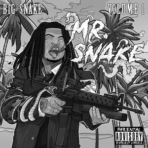 Snaking No Fakin (Explicit)