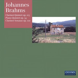 Clarinet Sonata in E-Flat Major, Op. 120, No. 2 - III. Allegro