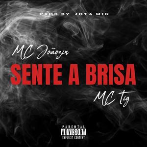 MC Joãozin - Sente A Brisa (feat. MC Tig) [Explicit]