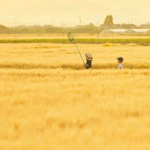 漂洋过海来看你