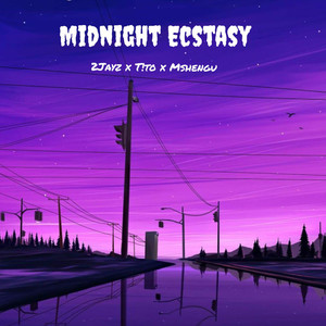 Midnight Ecstasy (feat. T!To, Mshengu) (Explicit)