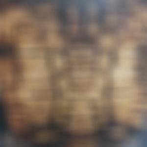 I No Longer Fear The Razor (Explicit)