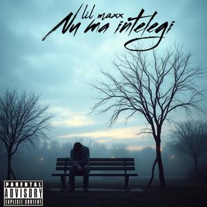 Nu ma intelegi (Explicit)