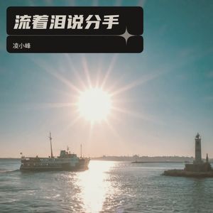 流着泪说分手