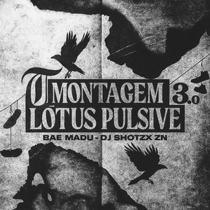 Montagem Lótus Pulsive 3.0 - Super Slowed (Explicit)