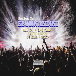 Ebumnandini (feat. Aux sa, Scotty kiddow, 2stinarker, De cthe & Young Reazy) (Radio Edit)
