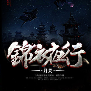 奇妙音匣丨大奇 - 锦衣夜行 第0066集