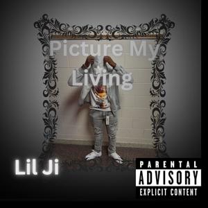 Picture My Living (Explicit)