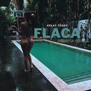 flaca perrita cotiza