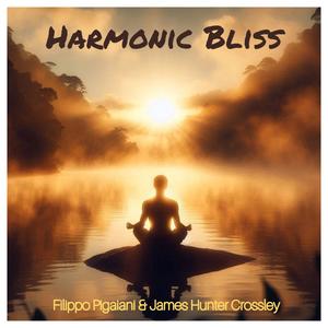 Harmonic Bliss