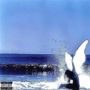 FLY (feat. Overpade)