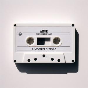AMOR (feat. DJ Skylo) (experimental|Explicit)