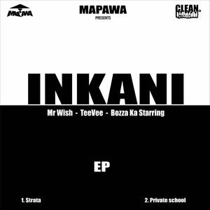 Inkani (Private School) (feat. Mr Wish, TeeVee, Bozza ka starring & Spetla)