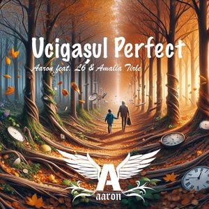 Ucigasul Perfect (feat. L6 & Amalia Tirle)