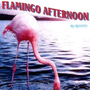 Flamingo Afternoon