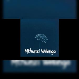 Mthunzi welanga (feat. Umalume souls) [Dumza Remix Special Version]