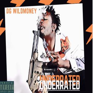 Underrated (Explicit)