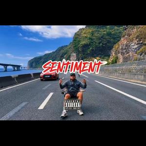 Sentiment