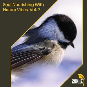 Soul Nourishing With Nature Vibes, Vol. 7
