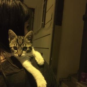 le droghe xte (slowed) (Explicit)