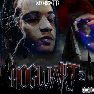 HOGWARTz (Explicit)