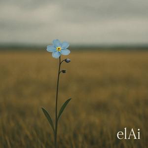 Forget Me Not