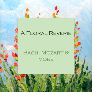 Visions Fugitives, Op. 22 - Prokofiev: Visions Fugitives, Op. 22: 2. Andante