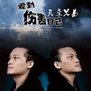 你行我也行封面