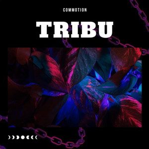 Tribu